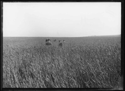 Archived Images\Photo images\Phd\7001P-7500P\7319P.jpg; 7319P; ;